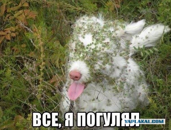 Неинтересные факты ч.2