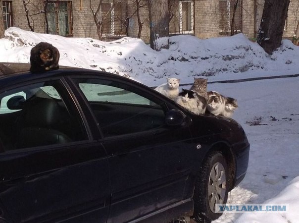 Непривычно