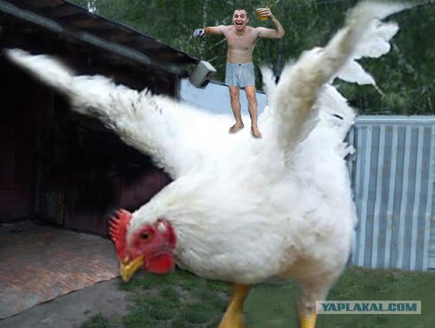 Отфотошопте моё фото