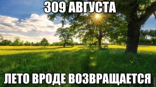 Картинки из сети