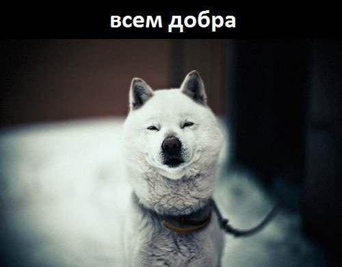Когда вы минусуете уже заминусованного