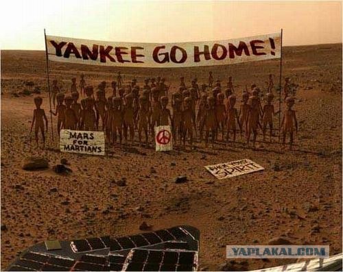 ТОП-10 самых популярных интернет-мемов 2012 года