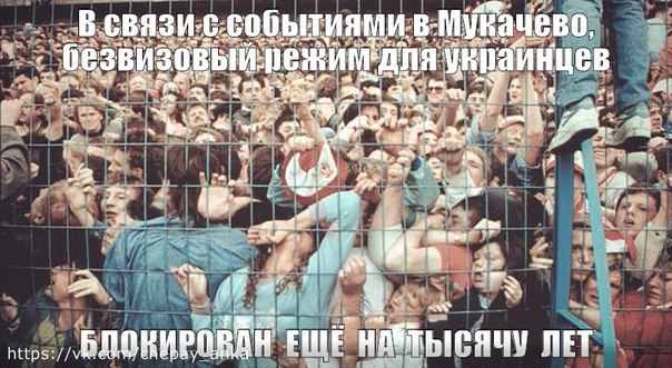 Что-то в лесу сдохло?