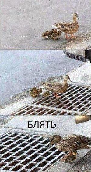 Картинки из инета