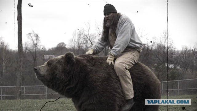 Туристы в Заполярье прогнали медведя исполнив