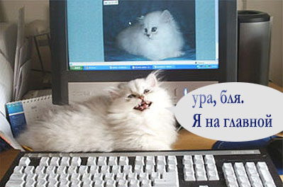 Приколы на МОНИТОРЕ