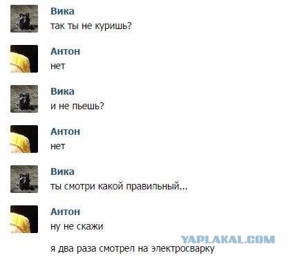 Смешные комментарии 20.12.2015