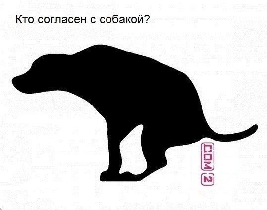 Подборка прикольных картинок