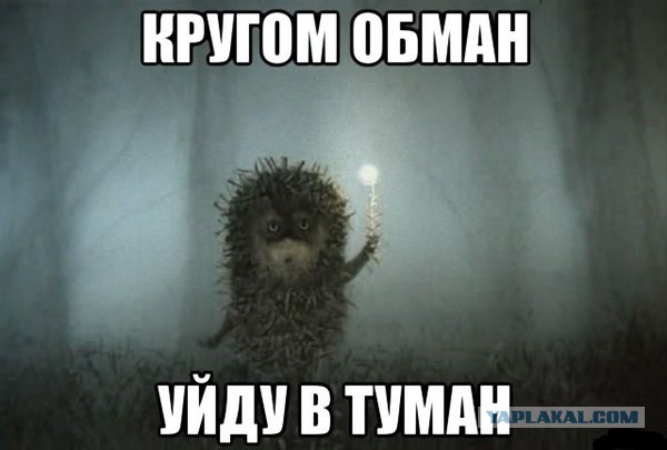 Власти и цыгане в Тульской области пришли к компромиссу