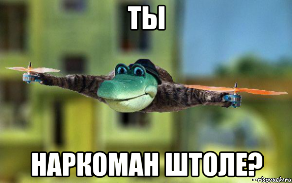 Волгоград сошел с ума?