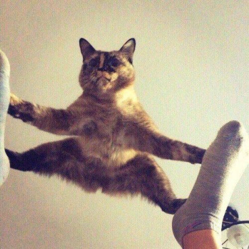 Картинки и приколы из сети, для поднятия настроения=)