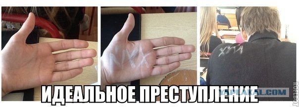 Несколько фоток