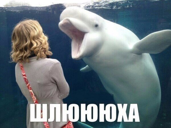 Картинки разные из сети