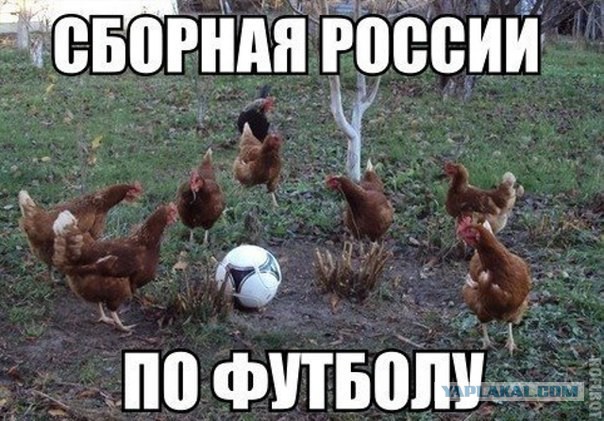 Картинки смешные и не очень