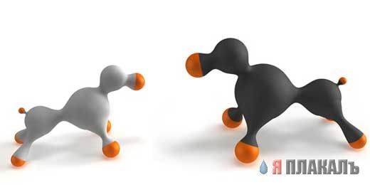 Резиновая СОБЧАК отдыхает!