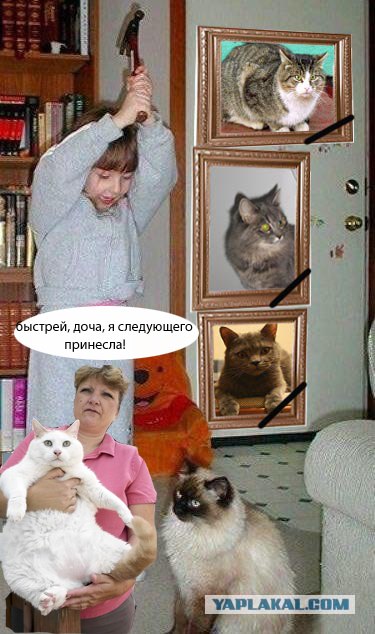 Сейчас будет ПЫЩЩ