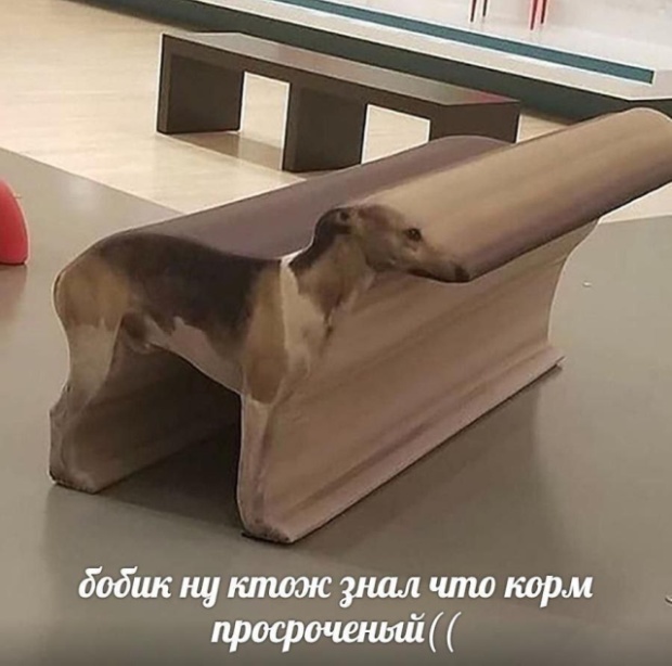 Нестандартный юмор