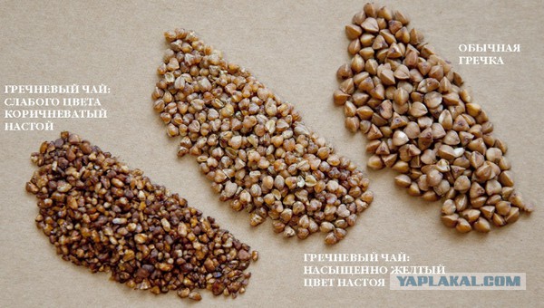 Знакомая пишет всякие наблюдения из жизни..
