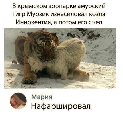 Не очень адекватный юмор