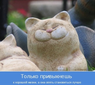 Чуток картинок 03.12.19