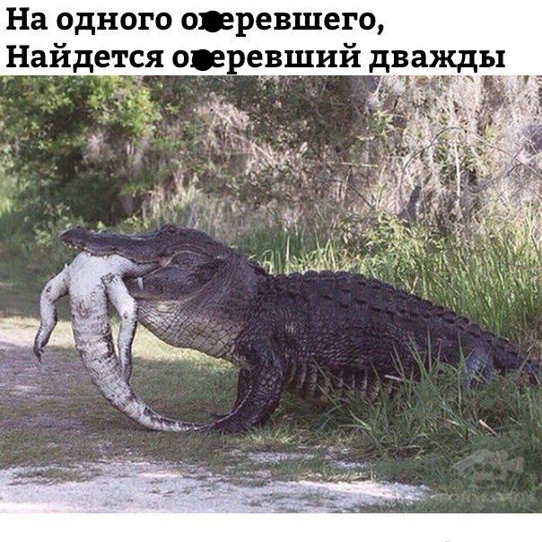 Чуток картинок. Ночные 3