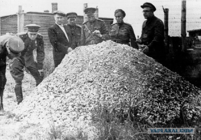 Селекция в женских концлагерях