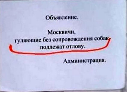Перлы - 04.05.20
