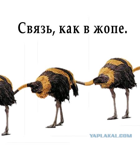 Мобильные операторы