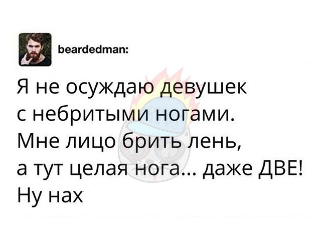 Фотки и картинки: юморные и красивые, забавные и милые 03.10.20