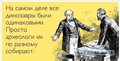 Динозавров засняли в подземной шахте