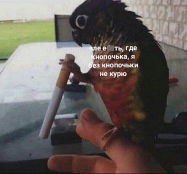 Баянисто-небаянистый юмор 15.05.21