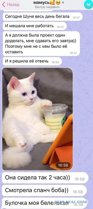 Так себе картинки 07.08.21
