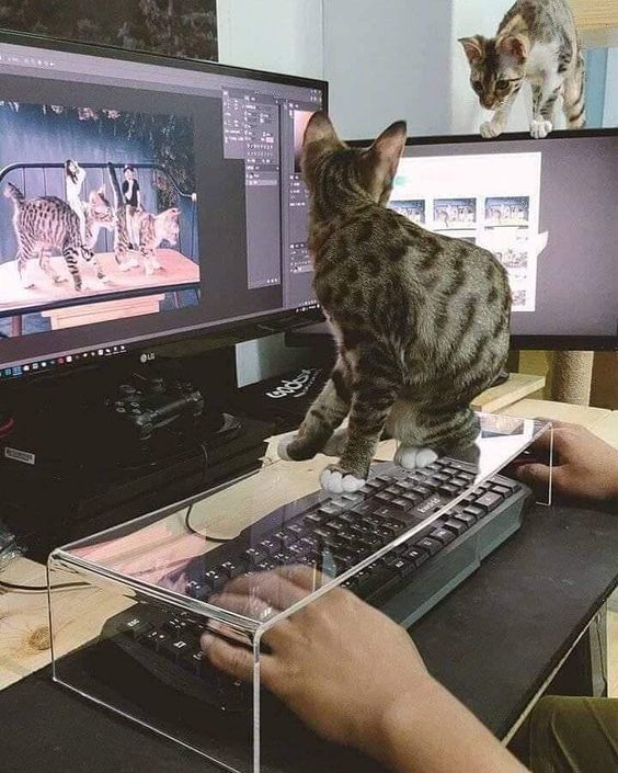 Здравствуйте