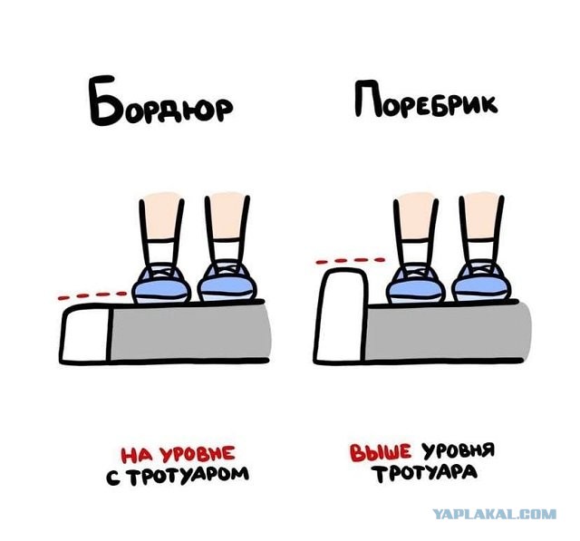 А может вы не знали...