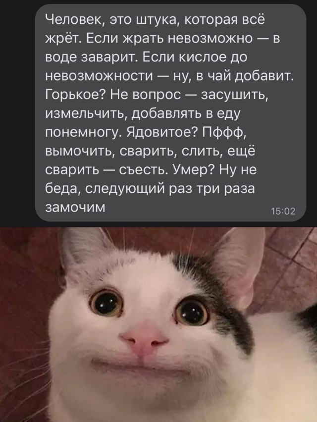 Картинки и мемы всем прекрасных выходных