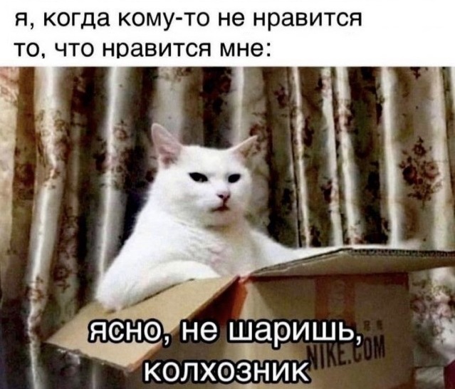 Весёлый полтишок 24.05.22