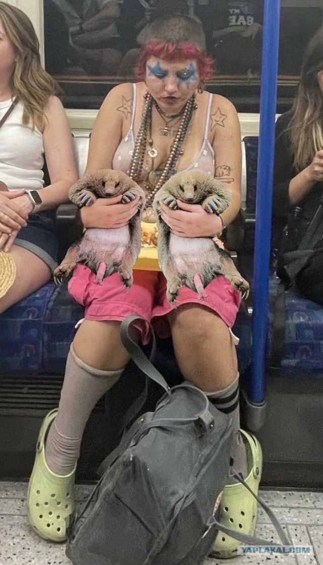 Фотожаба: шахматистка - ланч в метро