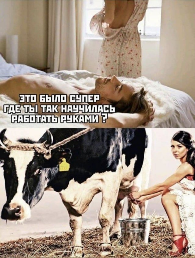 Так себе картинки 10.09.22