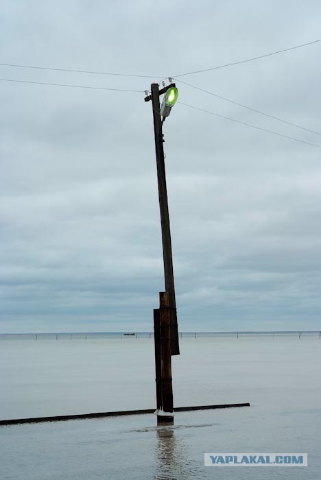 Вот в чем вся соль!