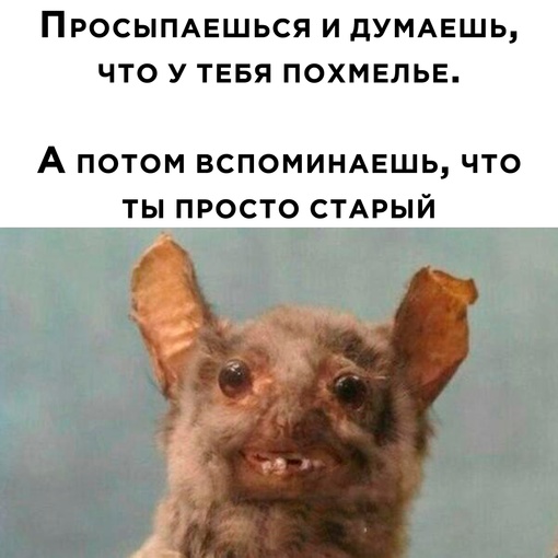 Немного картинок для настроения - 112