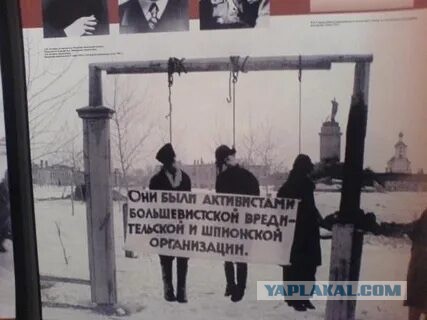 Вне политики