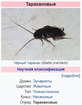 Есть ли у человека душа?