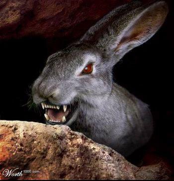 Это что ? о_О