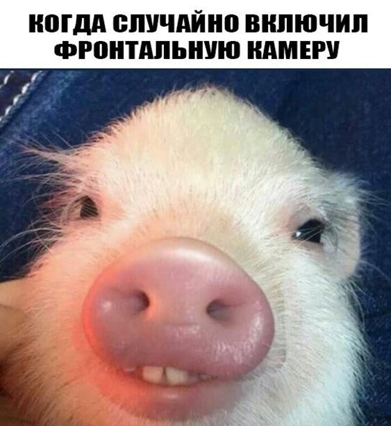 Народная меДИЧина 4005