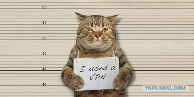 В России заблокируют все VPN и начнут банить сайты за их распространение