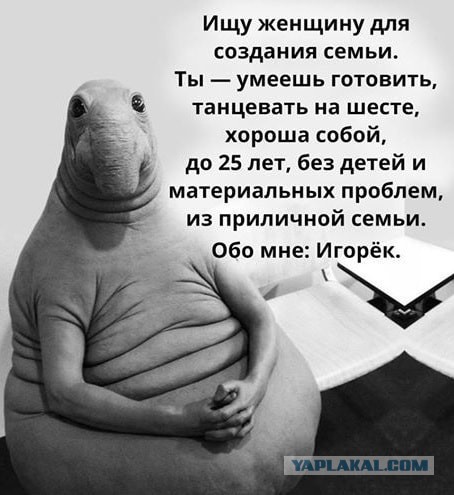 "Ты узнаешь ее из тысячи" Как распознать лесбиянку