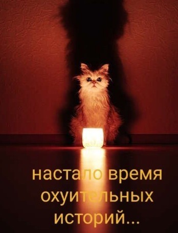 Вернули Кешу