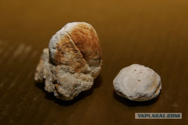 История мира у нас под ногами