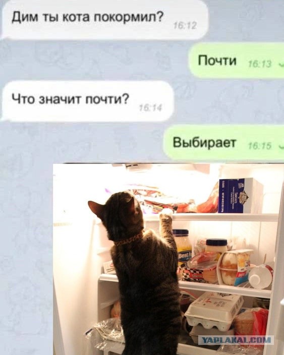 Баяны, очень баяны, но думаю улыбнёт