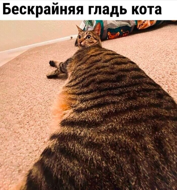 30 картинок на субботу